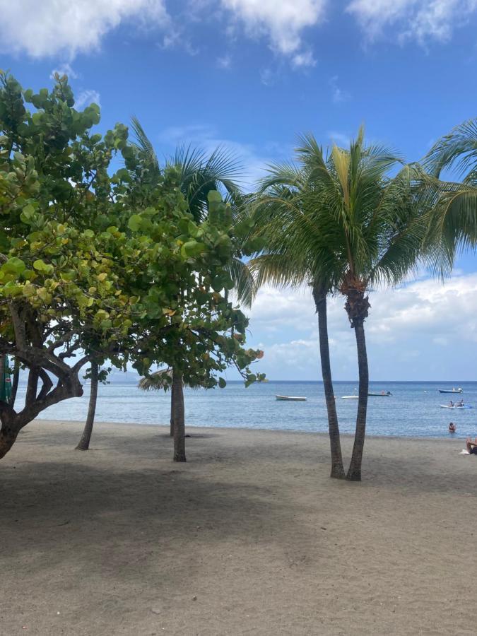 Ti Repos Martinique - Maison Avec Spa Шельшер Экстерьер фото